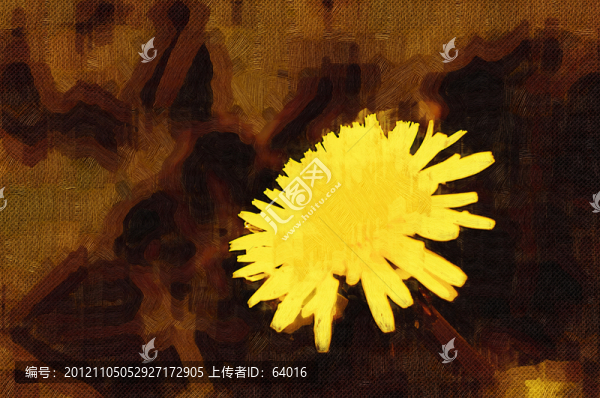 野菊花裝飾畫