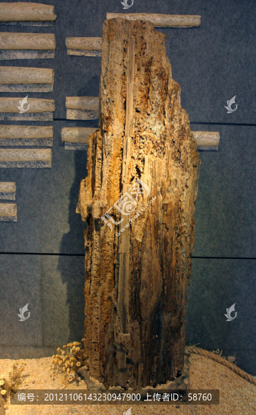 廣西柳州,八桂奇石館奇石