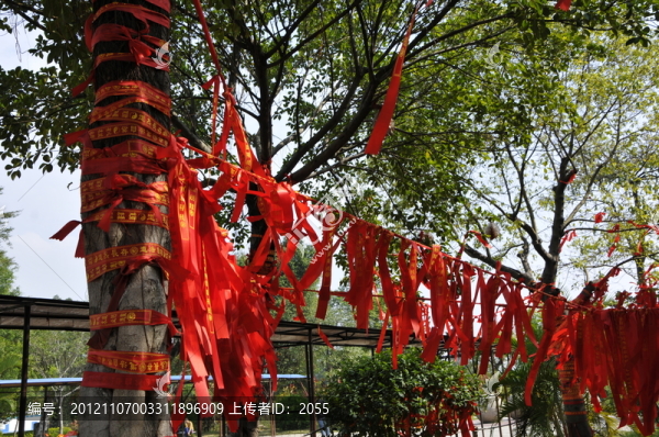 許愿樹,許愿絲帶