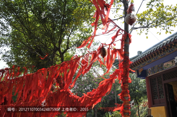 許愿樹(shù),許愿絲帶