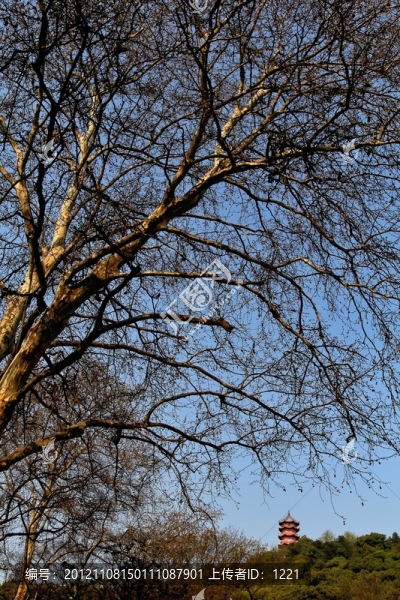 錫惠公園