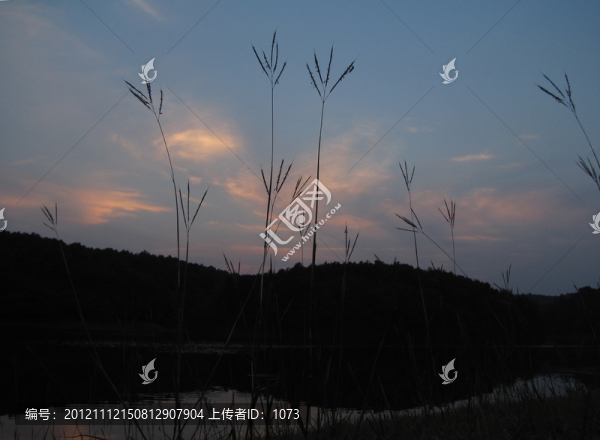 草云天
