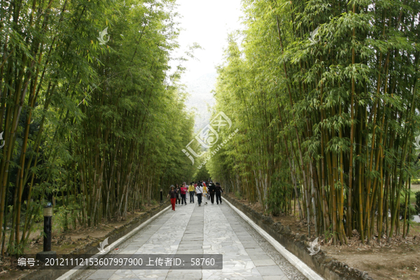 云南省大理,蝴蝶泉公園竹林