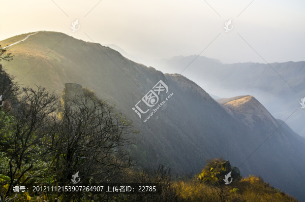 晨風(fēng)