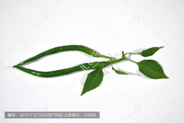 辣椒