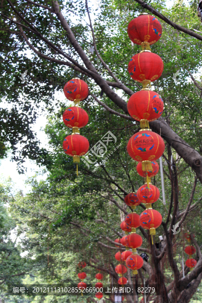 紅燈籠