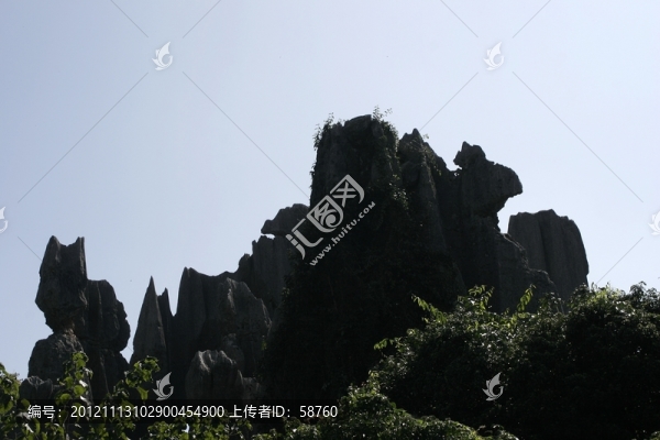 云南石林奇觀,貓和老鼠