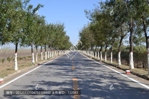 濮陽黃河大堤
