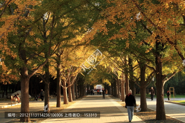 北京秋色