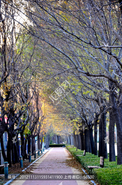 公園綠化