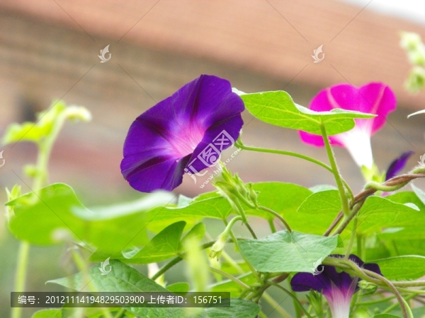 牽?；? title=