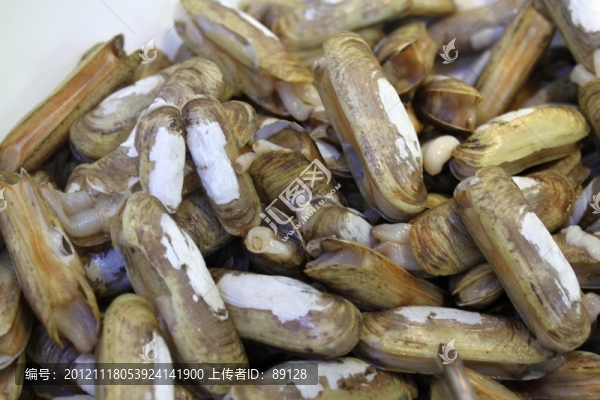 火鍋配菜,貝類
