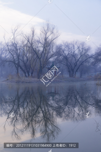 樹林,湖泊