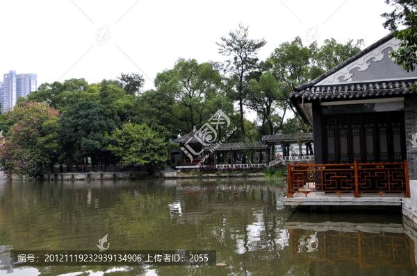 荔灣湖公園,大榕樹
