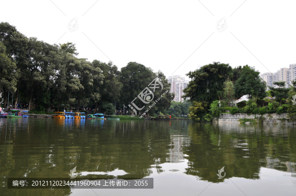 荔灣湖公園,湖光山色