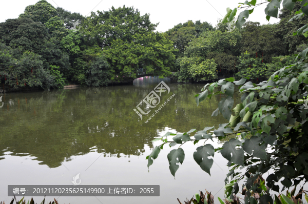 荔灣湖公園,湖光山色