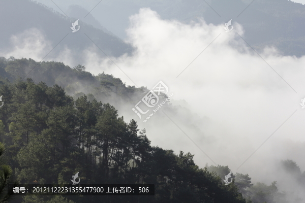 山林