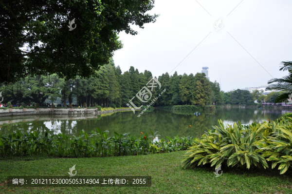 流花湖公園