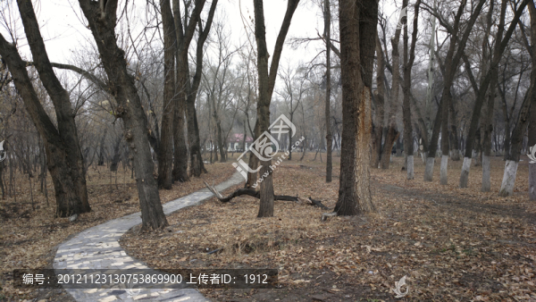 公園小路
