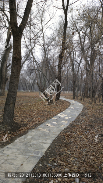 公園小路