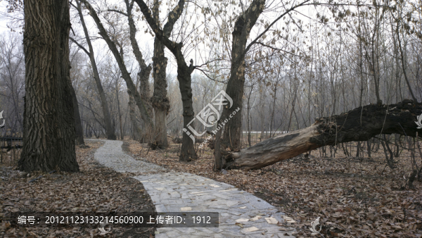小路