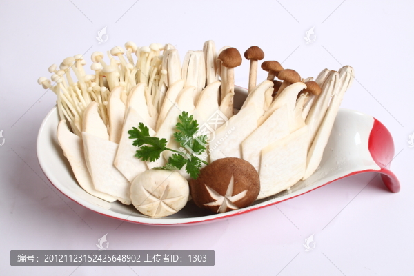 蘑菇