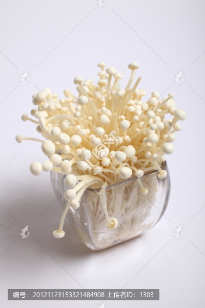 金針菇
