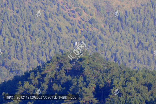 山林