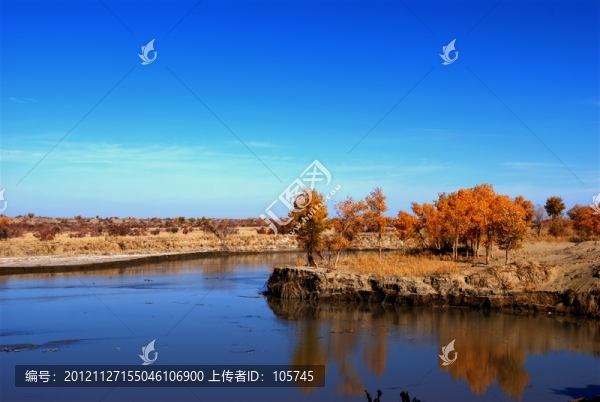 克里雅河秋色