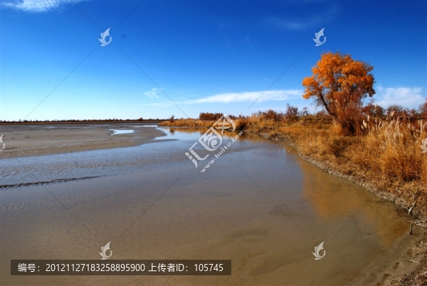 克里雅河秋色