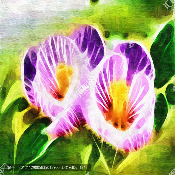 花朵裝飾畫