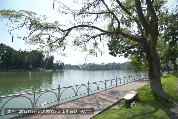 公園