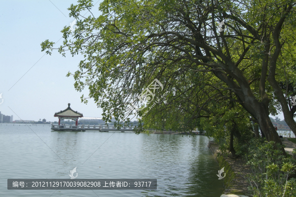 公園