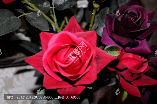 玫瑰花