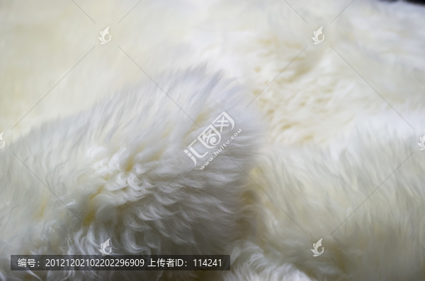 羊皮