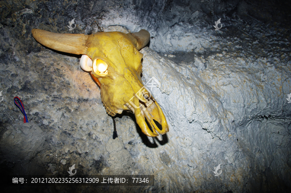 牛頭