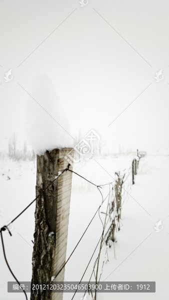 雪中牧場