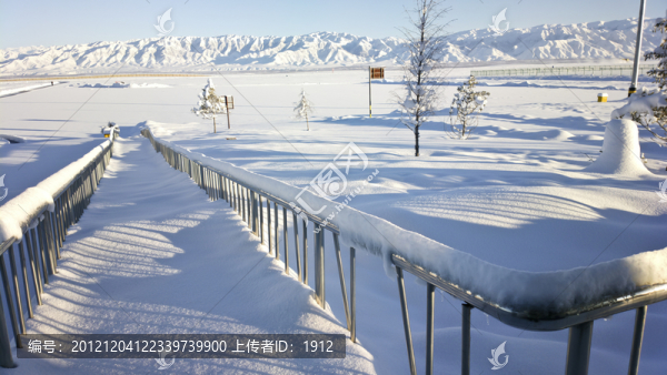 冬雪