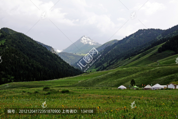 昭蘇夏塔的草原