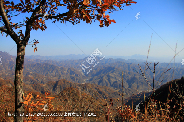 秋山