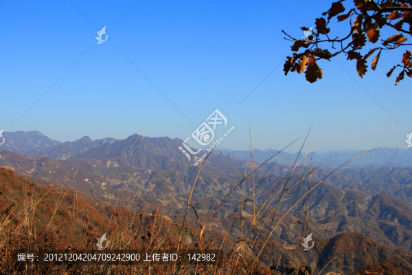 秋山