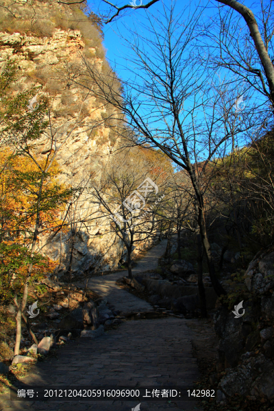 秋山