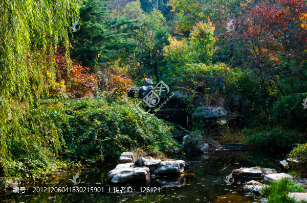 紅葉谷風(fēng)光