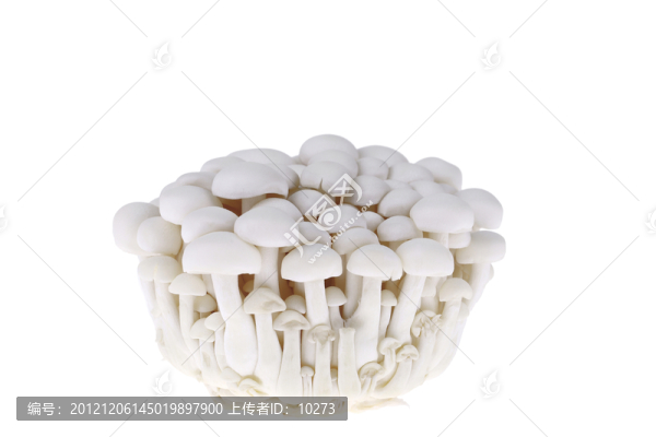 真姬菇,蟹味菇