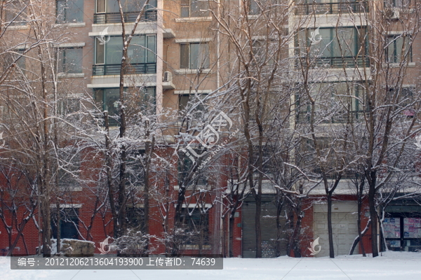 冰雪景色