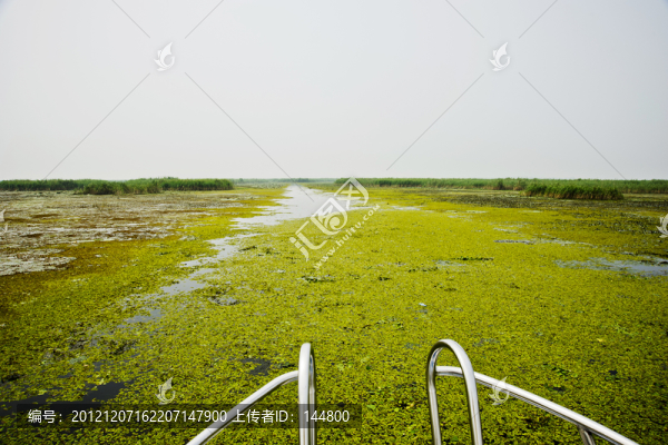 東平湖濕地