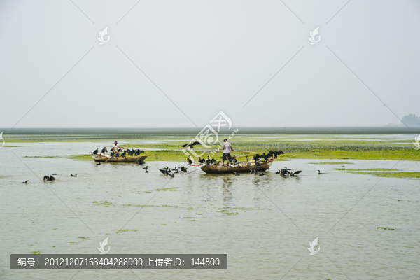 東平湖濕地