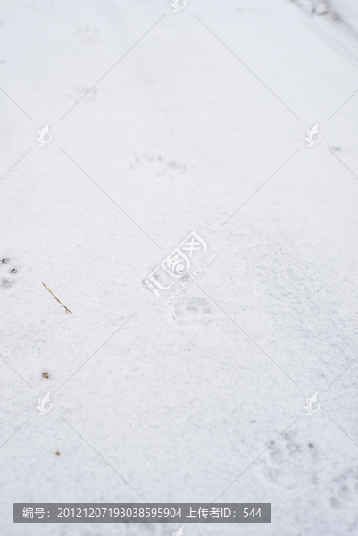 雪景,雪地爪印