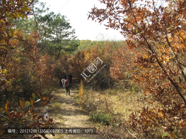 深秋,明光老嘉山風(fēng)光