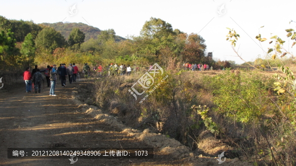 穿越山野